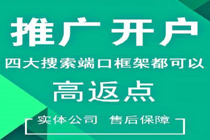 sem托管服务实战案例：精准定位，广告投放效果显著